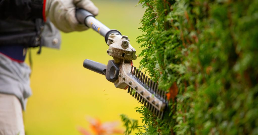 Art Schwaben Service - Nahaufnahme einer elektrischen Heckenschere an einer Hecke