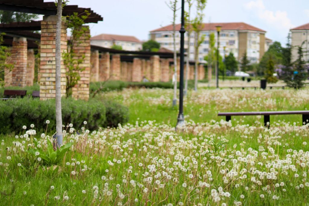 a park with a bench and flowers in the foreground